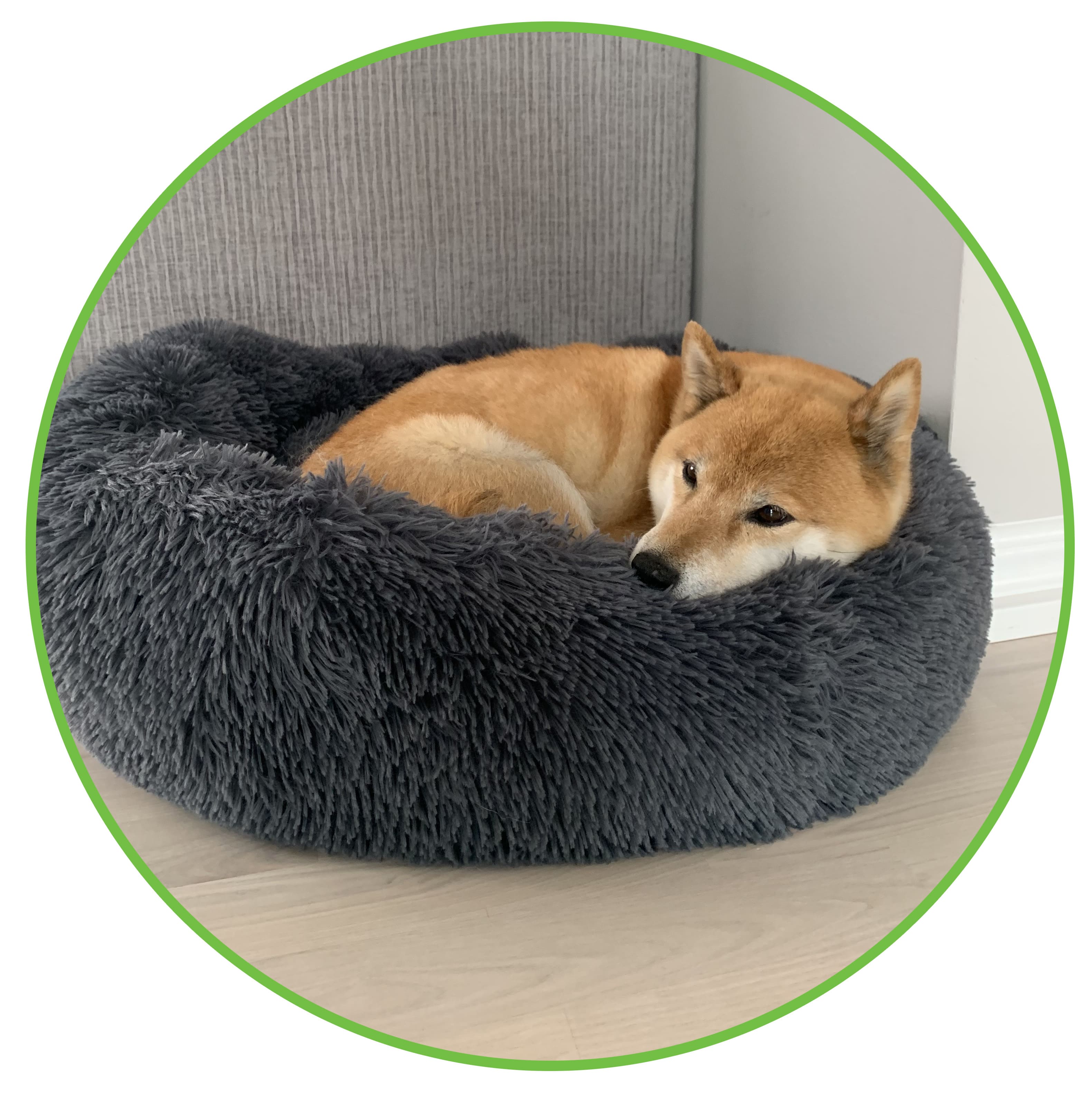 feature-item-1